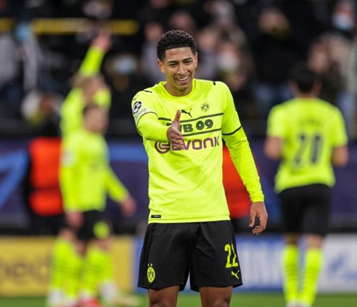 蓬勃发展 蓬勃发展